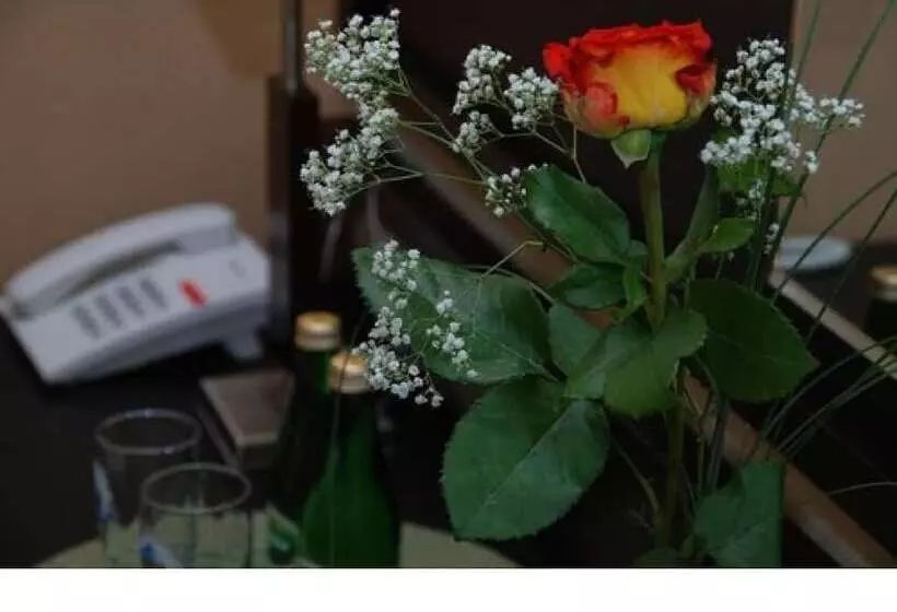 Fotos del hotel Topaz:  15