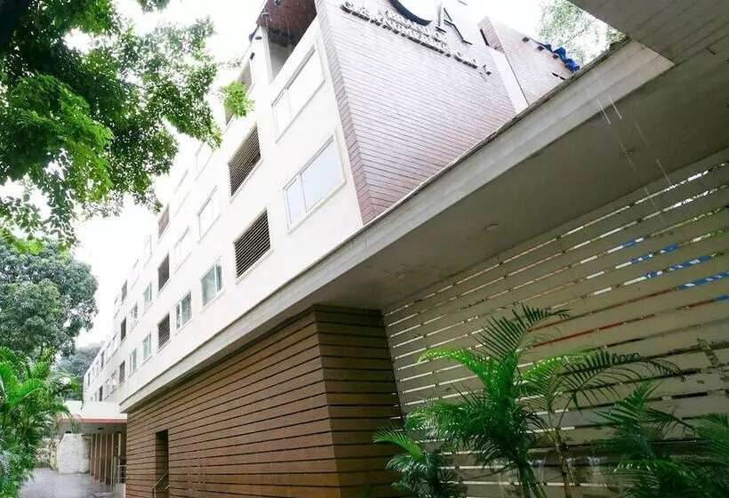 Fotos del hotel The Roa:  8