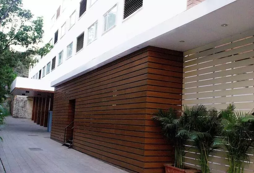 Fotos del hotel The Roa:  13