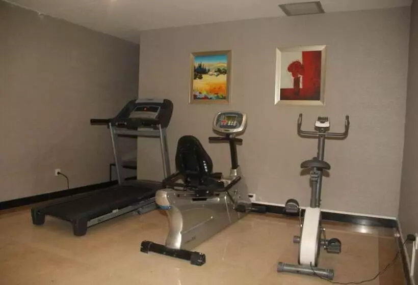 Fotos del hotel Golden Central Hotel Shenzhen:  6