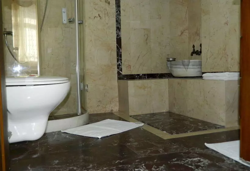 Fotos del hotel Apricot Hotel Istanbul:  13