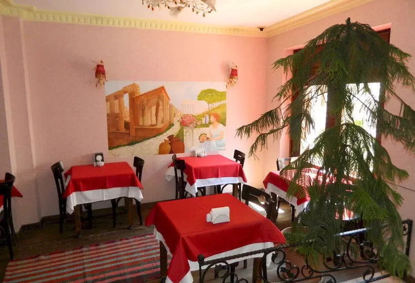 Fotos del hotel Apricot Hotel Istanbul:  12