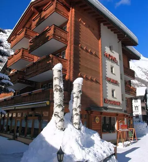 Fotos del hotel Cheminee:  9