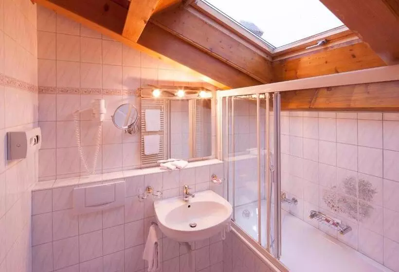 Fotos del hotel Cheminee:  13