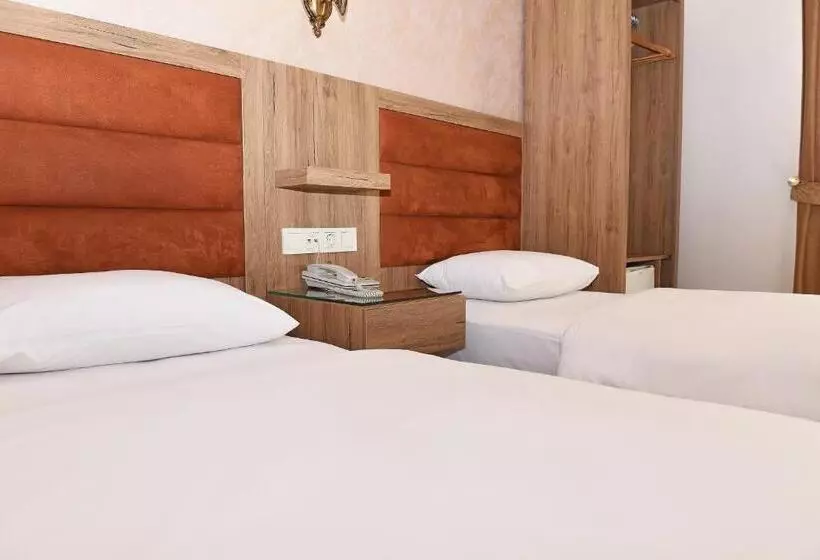 Fotos del hotel Grand Umit:  20