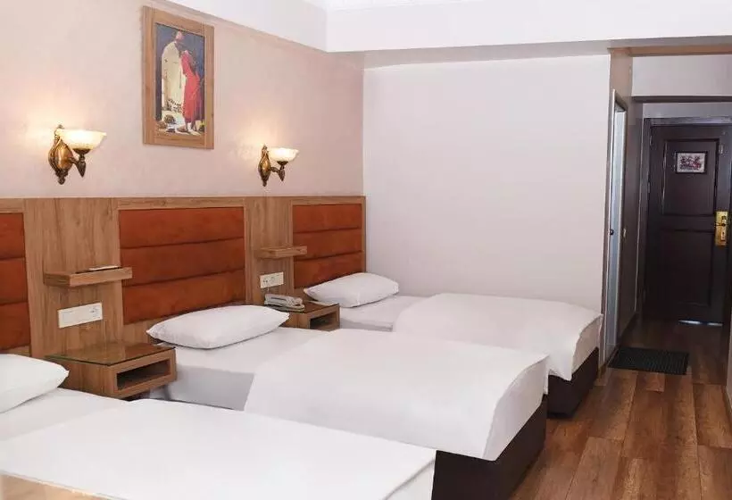 Fotos del hotel Grand Umit:  22