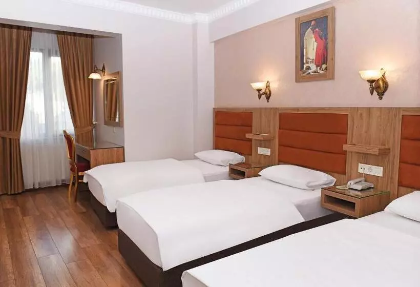 Fotos del hotel Grand Umit:  18