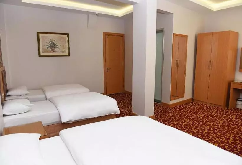 Fotos del hotel Grand Umit:  3