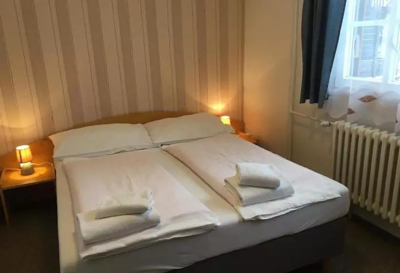 Fotos del hotel T?i R?že:  9