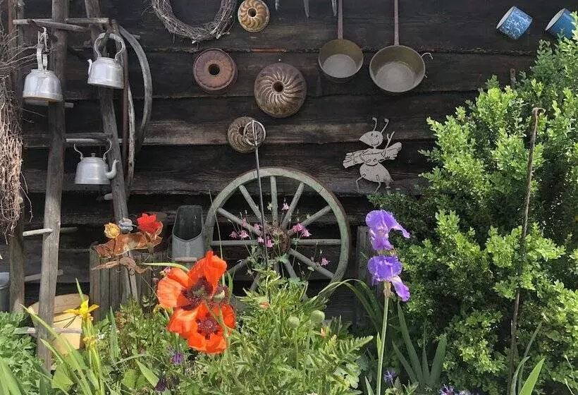 Fotos del hotel Haus Alpengruss:  13