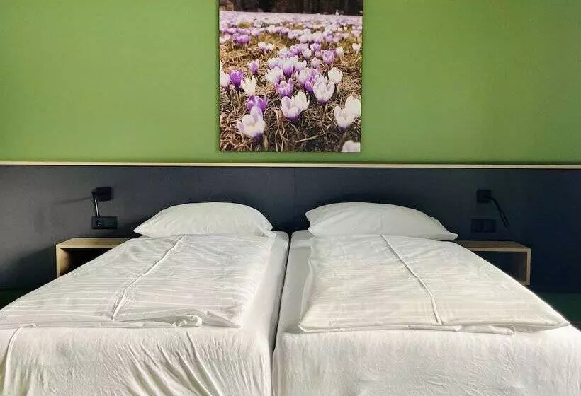 Fotos del hotel Simader:  17