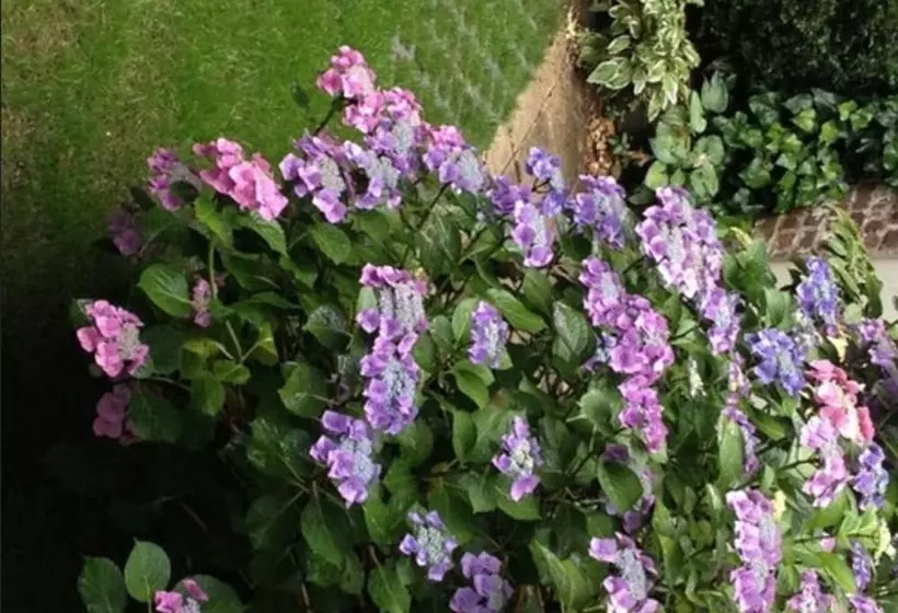 Fotos del hotel Am Hofgarten:  21