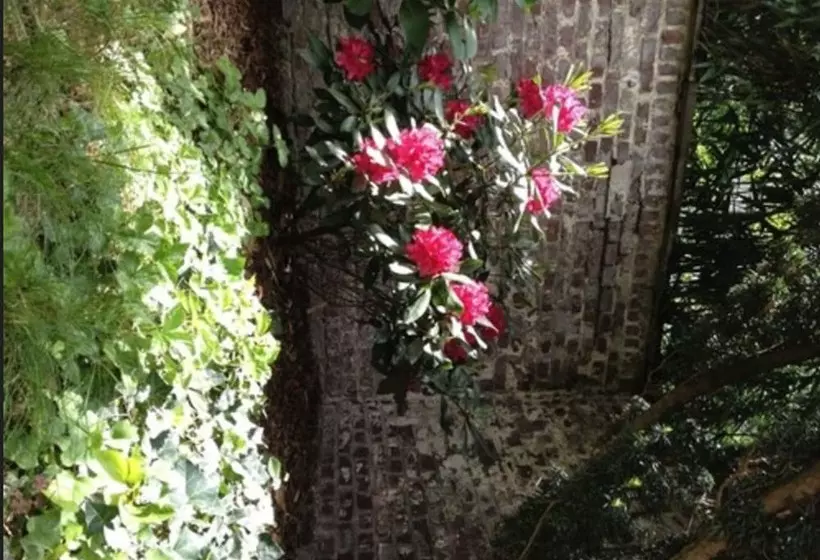 Fotos del hotel Am Hofgarten:  25