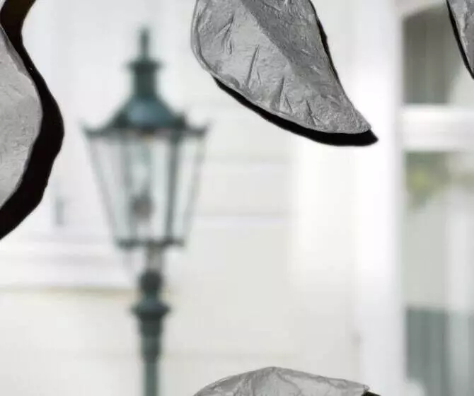 Fotos del hotel Am Hofgarten:  8