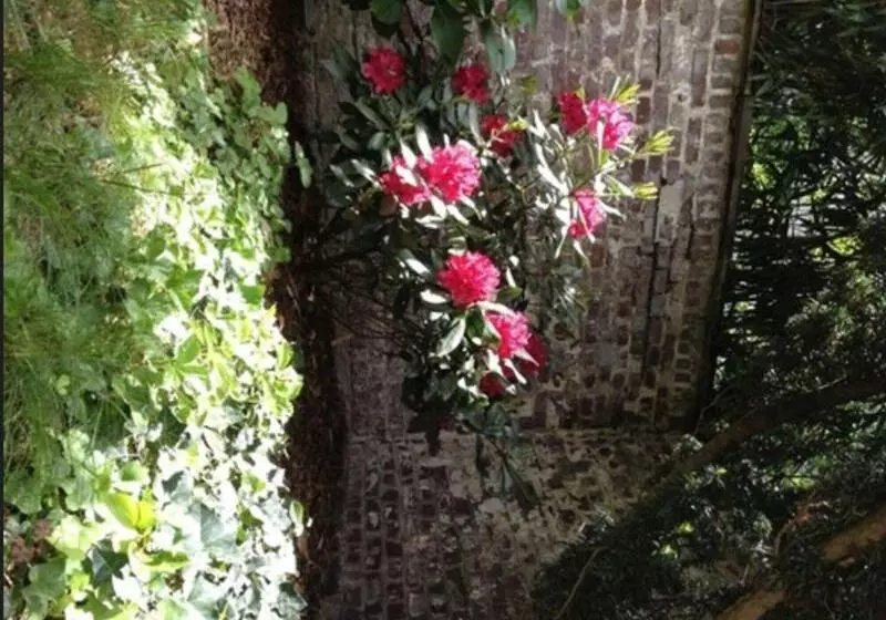 Fotos del hotel Am Hofgarten:  22