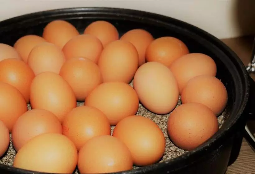 Fotos del hotel Greif Karlsruhe:  8