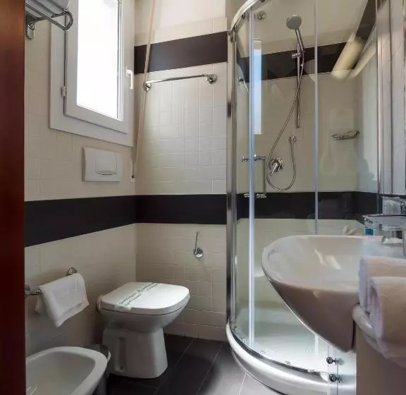 Fotos del hotel Metropol:  6