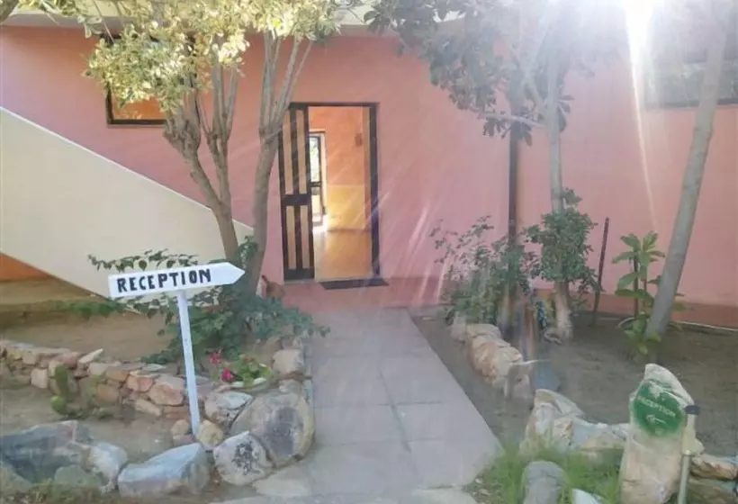 Fotos del hotel Oleandro:  19