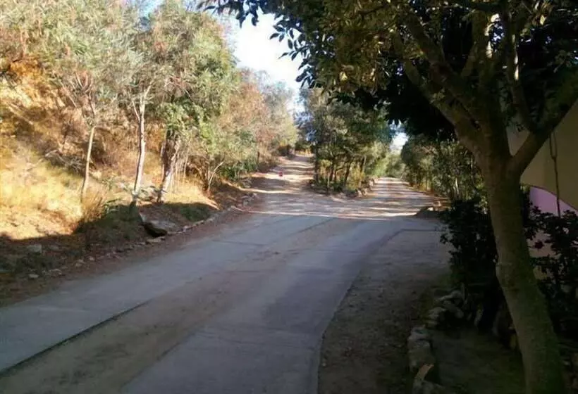 Fotos del hotel Oleandro:  8