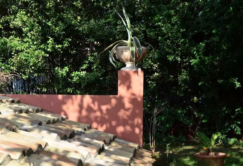 Fotos del hotel Siora Vittoria Boutique:  6