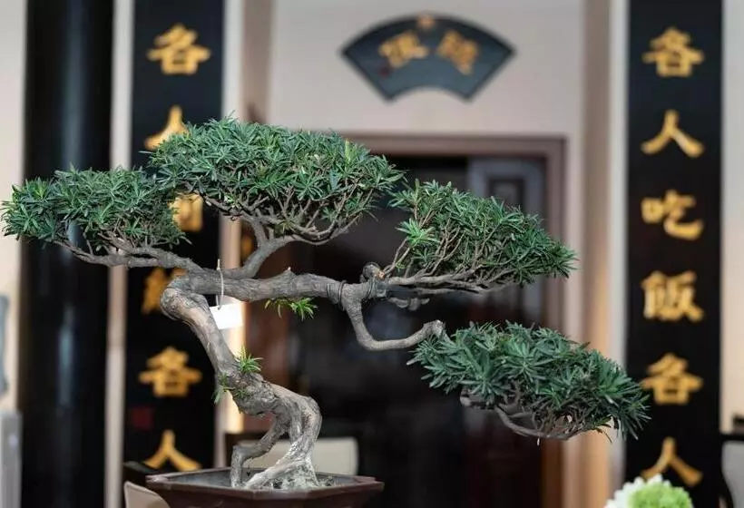 Fotos del hotel Buddha Zen:  4