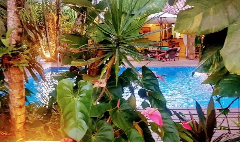 Fotos del hotel Eliconial Paraty Pousada:  2