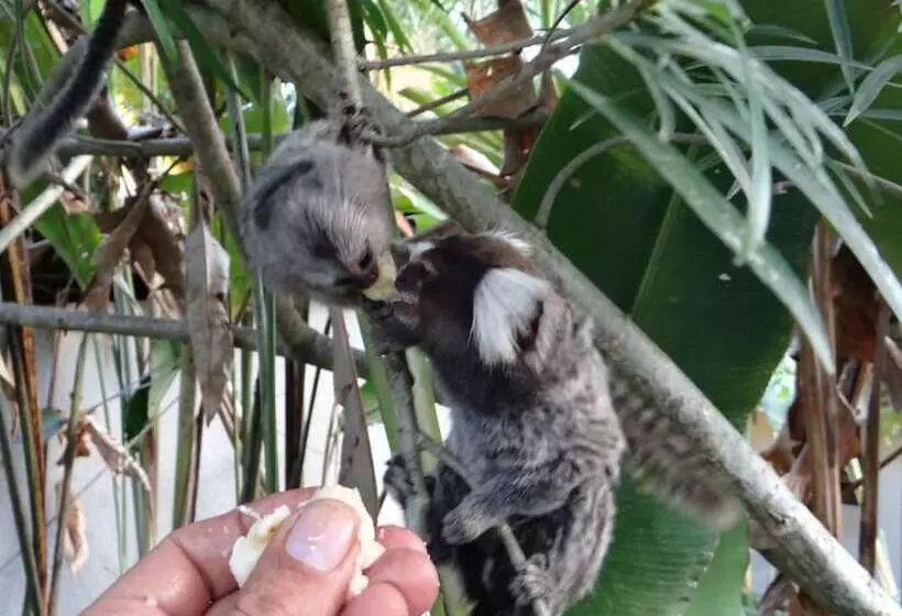 Fotos del hotel Eliconial Paraty Pousada:  7