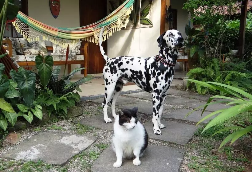 Fotos del hotel Eliconial Paraty Pousada:  12