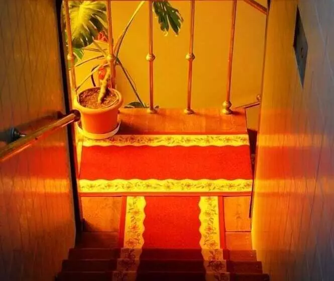 Fotos del hotel Palota:  3