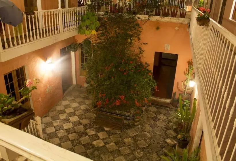 Fotos del hotel Posada Nueva España:  6