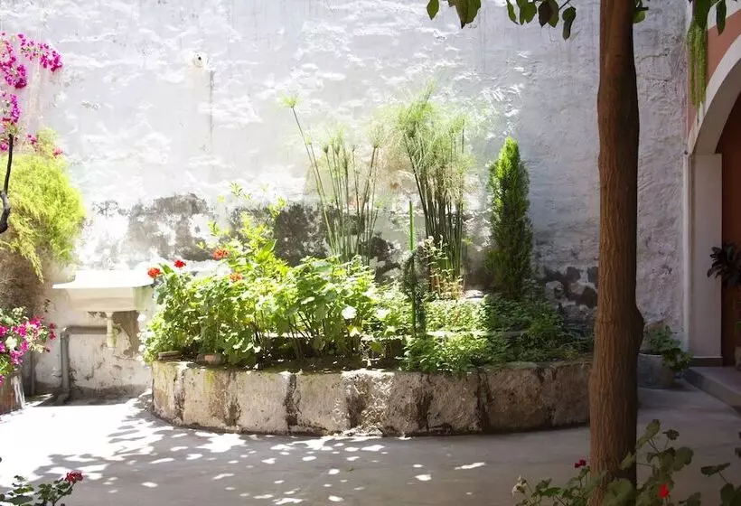 Fotos del hotel Posada Nueva España:  8