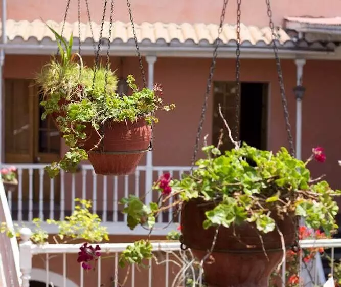 Fotos del hotel Posada Nueva España:  13