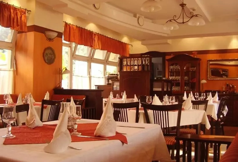 Fotos del hotel Tisza Alfa:  12