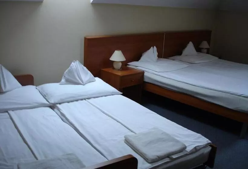 Fotos del hotel Tisza Alfa:  21