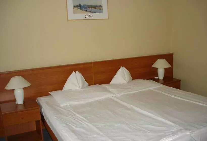 Fotos del hotel Tisza Alfa:  16