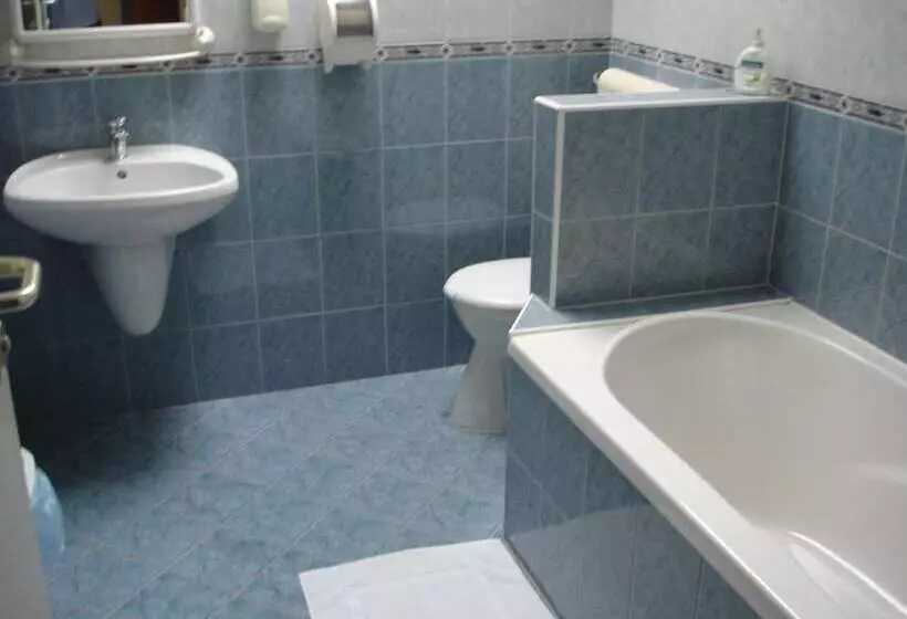Fotos del hotel Tisza Alfa:  22