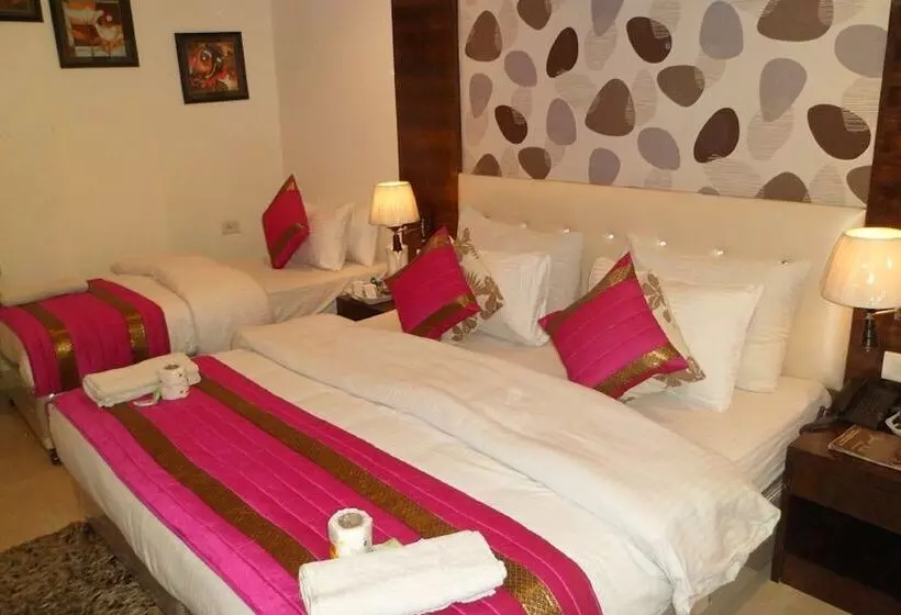 Fotos del hotel Arjun:  6