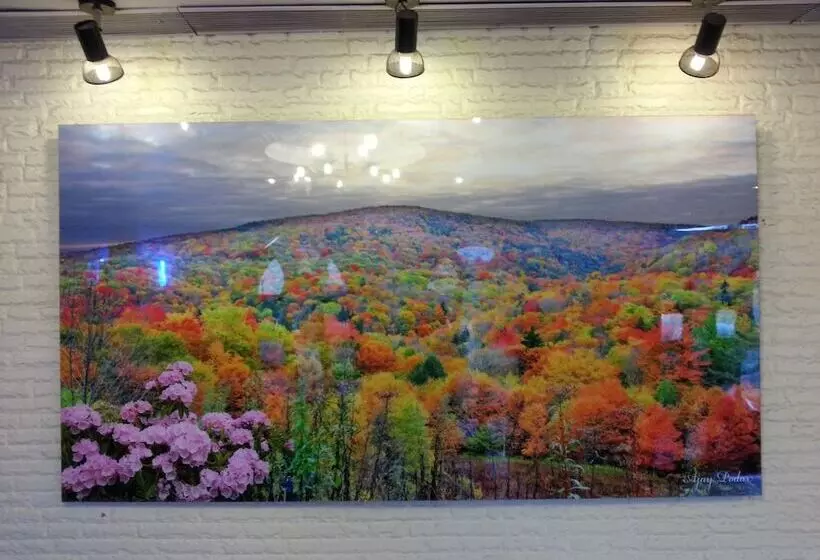 Fotos del hotel Kanchan Deep:  9