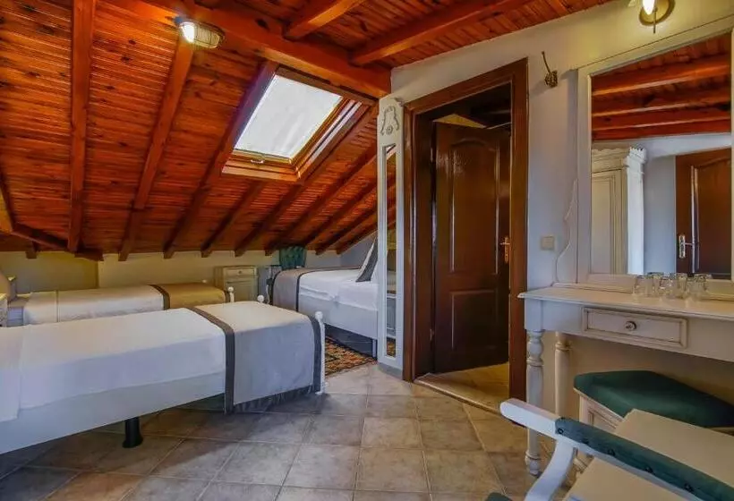 Fotos del hotel La Paloma:  24