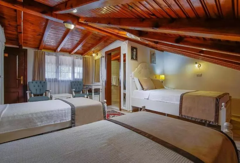 Fotos del hotel La Paloma:  20