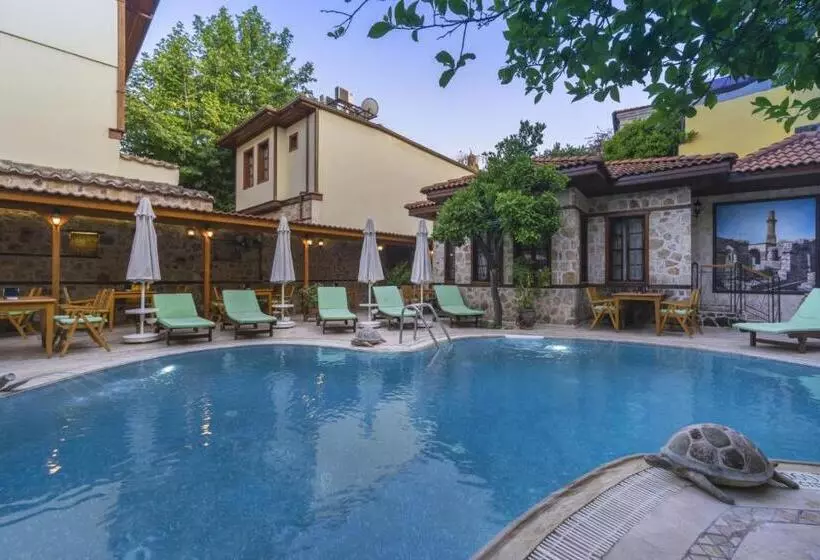 Fotos del hotel La Paloma:  7