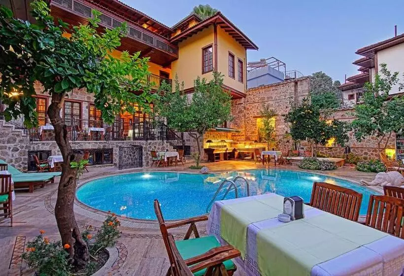 Fotos del hotel La Paloma:  14