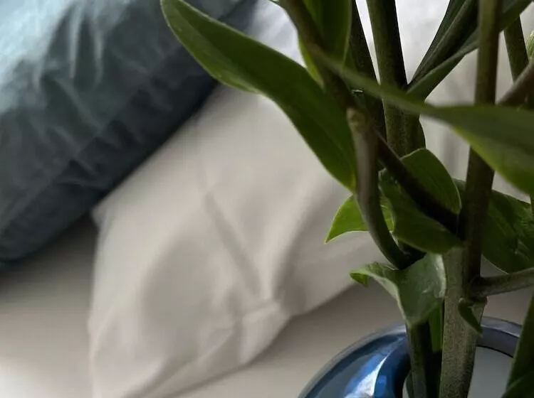 Fotos del hotel Aparthotel Faber:  15