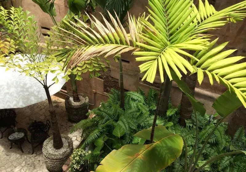 Fotos del hotel El Beaterio Casa Museo:  11