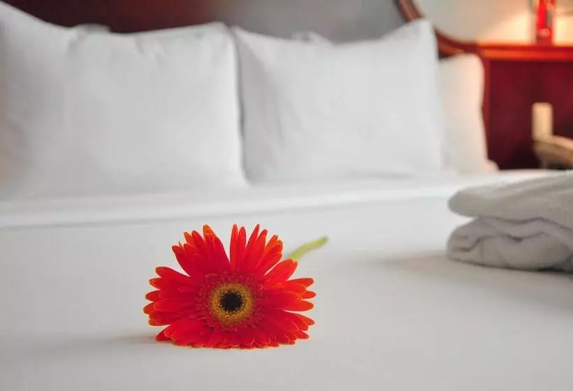 Fotos del hotel Kingdom:  22