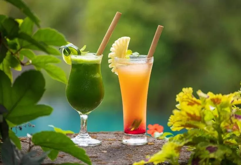 Fotos del hotel Puri Gangga Resort Ubud:  11