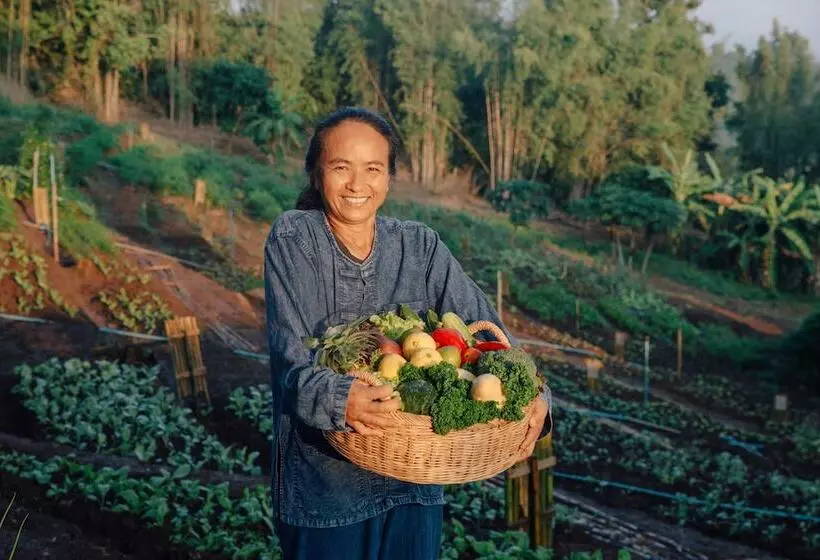 Fotos del hotel Spa Chiang Mai Resort:  8