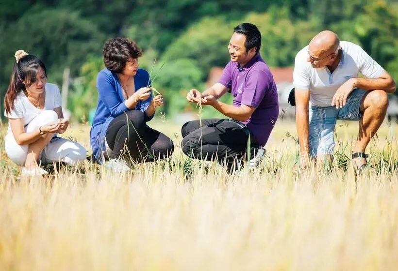 Fotos del hotel Spa Chiang Mai Resort:  12