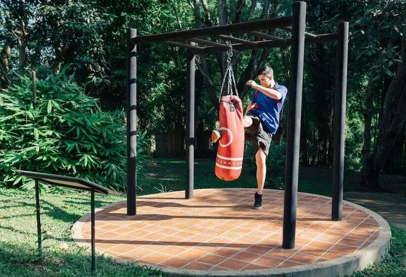 Fotos del hotel Spa Chiang Mai Resort:  4