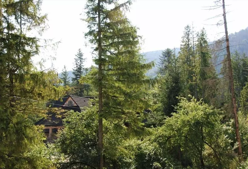 Fotos del hotel Willa Pan Tadeusz:  7